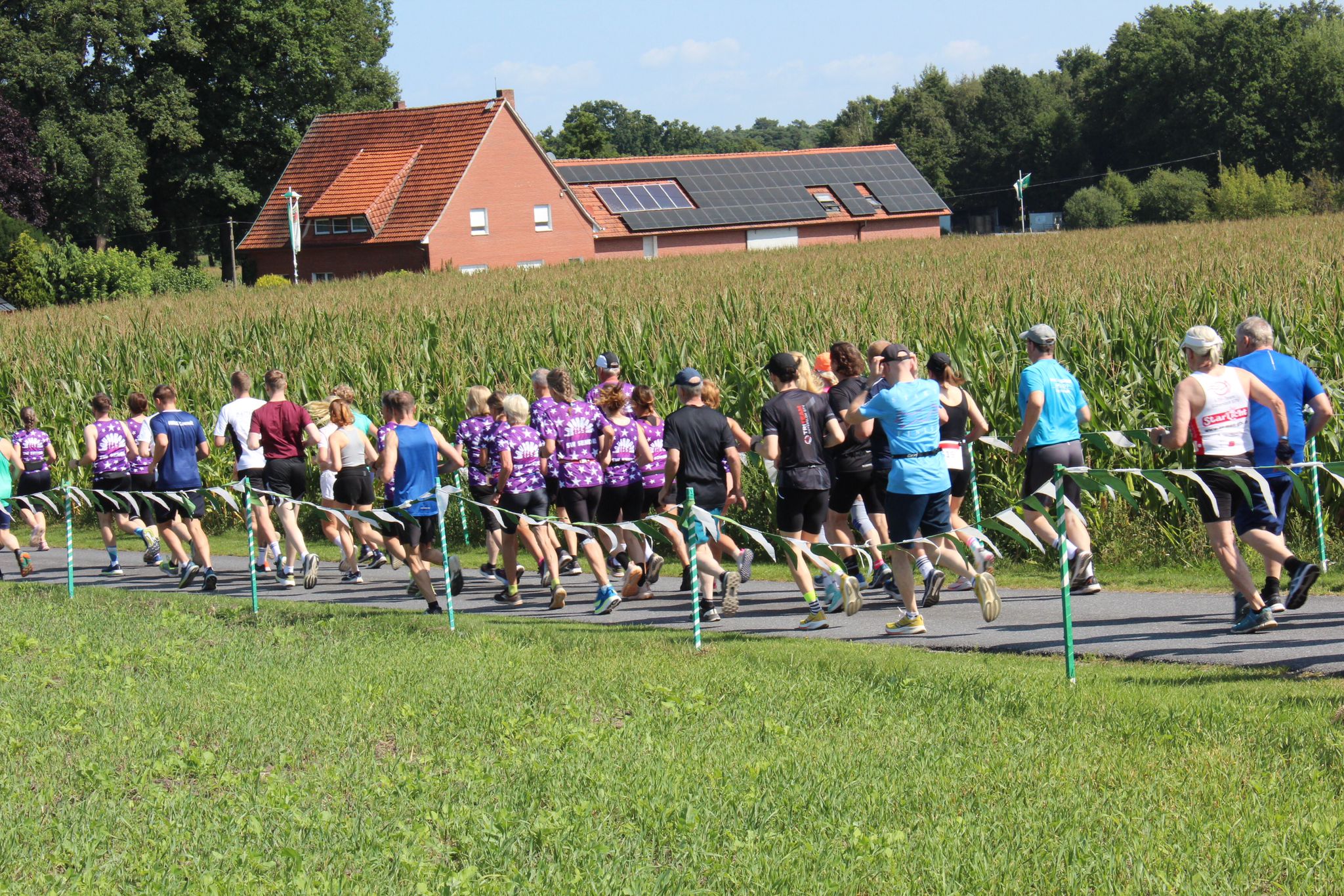 Läuferinnen und Läufer des Ugandalaufs auf einem Feldweg zwischen Maisfeldern bei Verl-Bornholte.